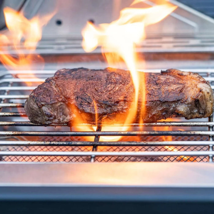 Monument Grill Stainless Infrared Propane Gas Grill - 24367