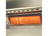 American Outdoor Grill L-Series 24-Inch 2-Burner Built-In Natural Gas Grill With Rotisserie - 24NBL