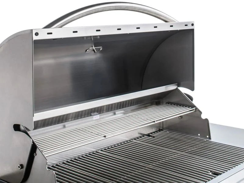 Blaze LBM 32-Inch 4-Burner Natural Gas Grill - BLZ-4LBM+BLZ-4-CART-SC
