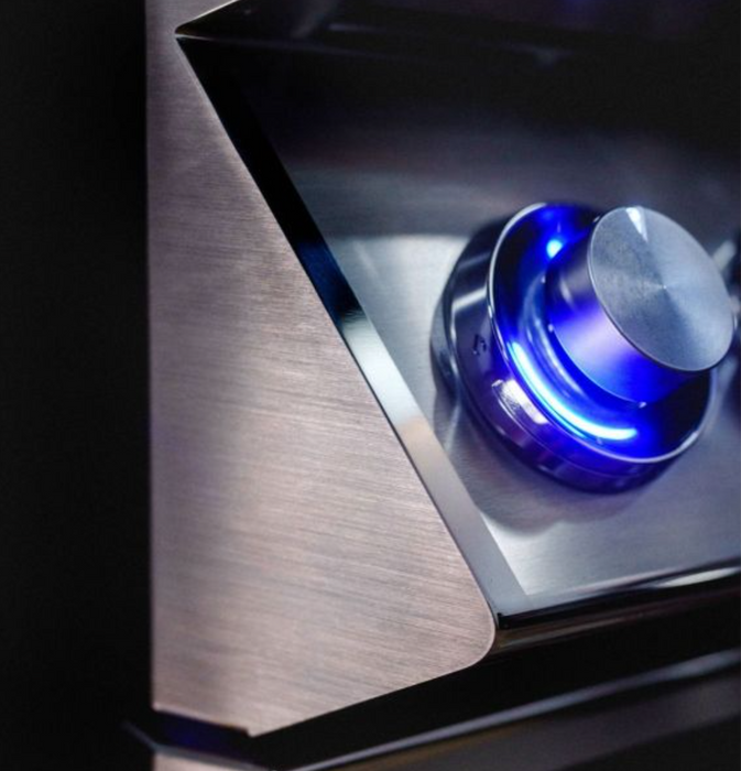 Twin Eagles 30-Inch 2-Burner Built-In Gas Grill with Infrared Rotisserie Burner