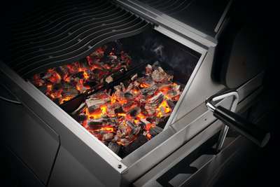 Napoleon Professional Freestanding Charcoal Grill - PRO605CSS