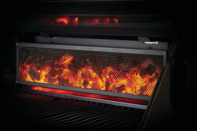 Napoleon Professional Freestanding Charcoal Grill - PRO605CSS