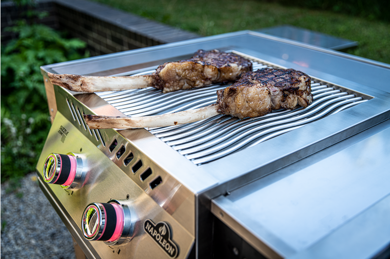 Napoleon Built-In 700 Series Dual Infrared Burner