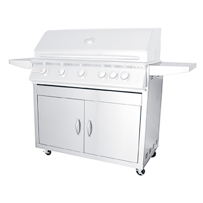 RCS Premier Series 40-Inch 5-Burner Built-In Natural Gas Grill With Rear Infrared Burner - RJC40A