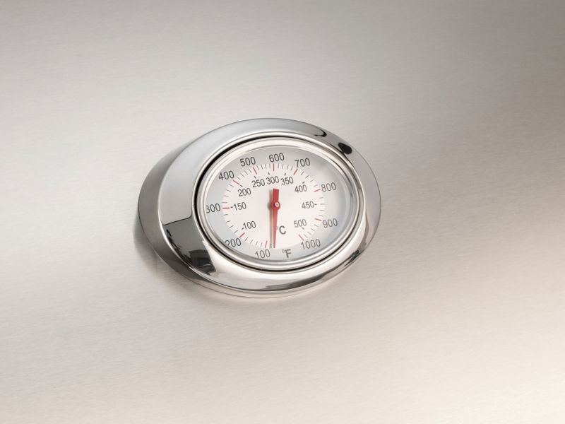 Fire Magic Echelon Diamond E1060i 48-Inch Built-In Grill w/ Analog Thermometer & Magic Window -E1060i-9EA-W