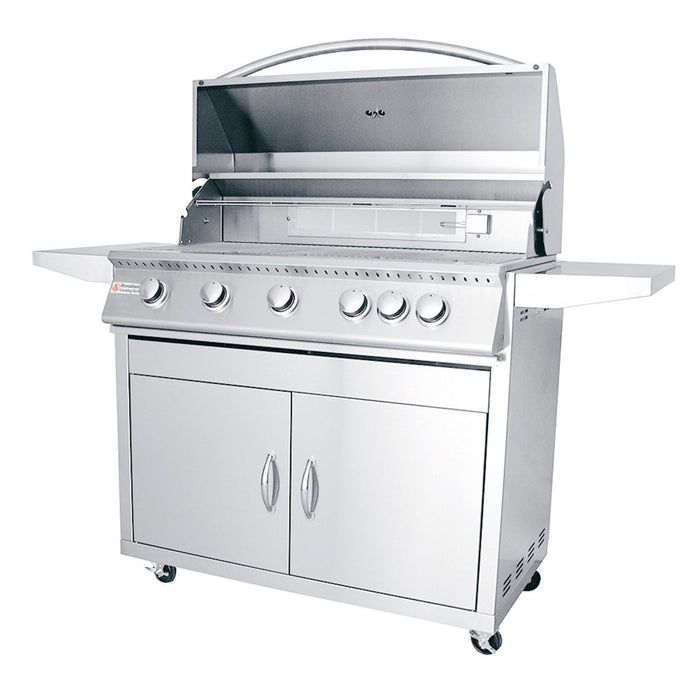 RCS Premier Series 40-Inch 5-Burner Built-In Natural Gas Grill With Rear Infrared Burner & Grill Lights - RJC40AL