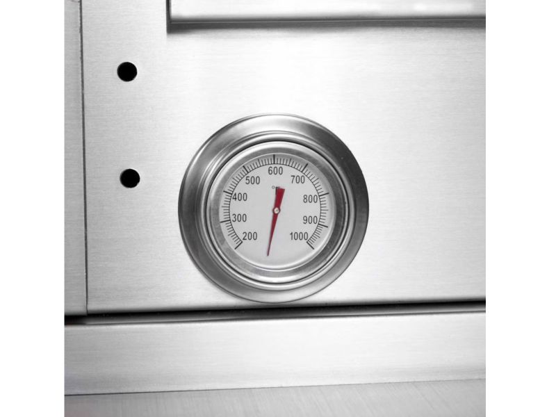 PGS T-Series Commercial 39-Inch Natural Gas Grill on Pedestal With Timer