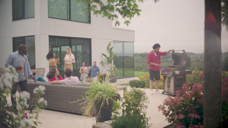 Napoleon Rogue PRO S Video