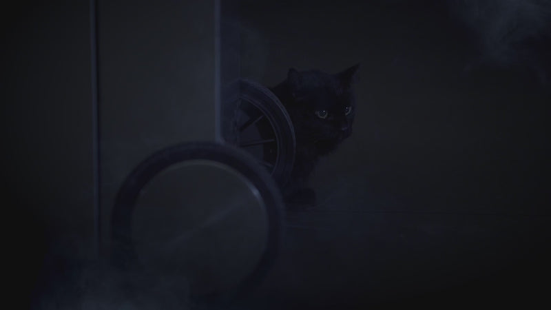 Napoleon Prestige PRO Grills Lights Video