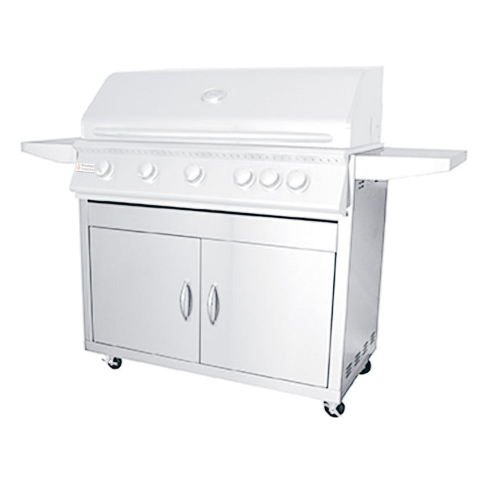 RCS Premier Series 40-Inch 5-Burner Built-In Natural Gas Grill With Rear Infrared Burner & Grill Lights - RJC40AL