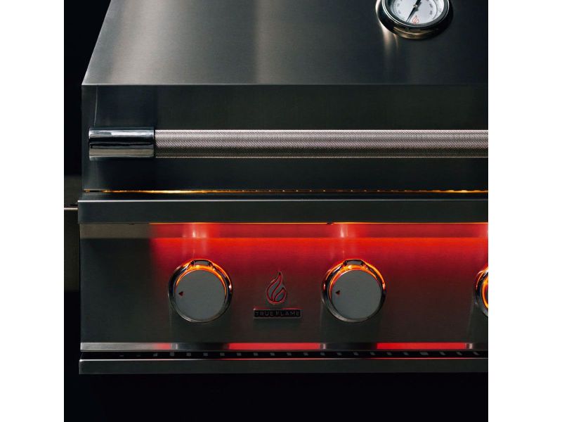 TrueFlame 40-Inch 5-Burner Built-In Gas Grill